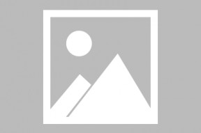商场“五一档”扎堆开业潮冷却，特色、体验成为竞争关键