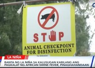 Gov’t prepares for ASF threat ahead of La Niña 
