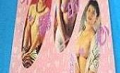 不羁的心