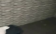 场面过于淫𝕄𝕚𝕤𝕤𝔸𝕍[ying]乱3个刚成年的小美女和一群小鲜肉群P