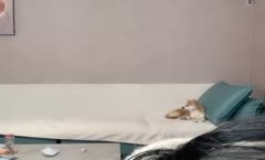 安全的港湾-糖纸妹mei妹mei- 看似清纯、实则骚到骨子、内裤一脱就不装了，骚声震天！