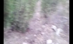 云盘泄密-外貌白皙清纯骨子淫骚的大学美女和男友出租屋各种肏𝕄𝕚𝕤𝕤𝔸𝕍操后又到郊区树林里野战后人啪pa啪,屁股真性感!