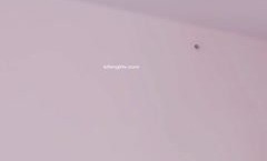MissAV-新上市！【19岁女孩】江苏少女白虎一线天超大奶✨✨✨白嫩肥美，露脸，谁能干上这逼就爽𝕄𝕚𝕤𝕤𝔸𝕍翻了(3)