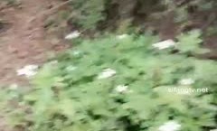 穿着睡衣到山上郊外打野战(2)